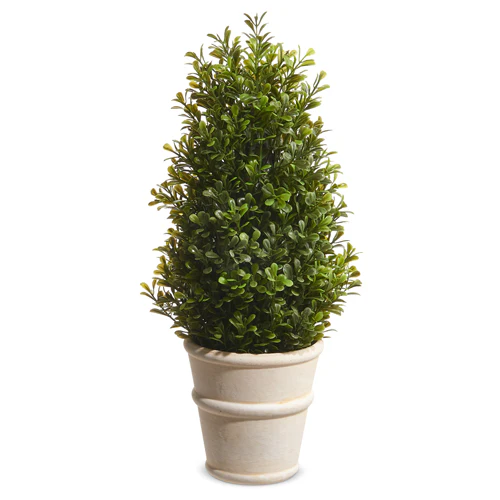 RAZ IMPORT- POTTED BOXWOOD DECOR